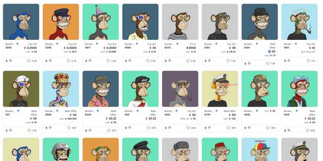 View of Bored Apes Yacht Club